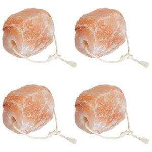 vidaXL Soolakivi Roosa Soole kivi