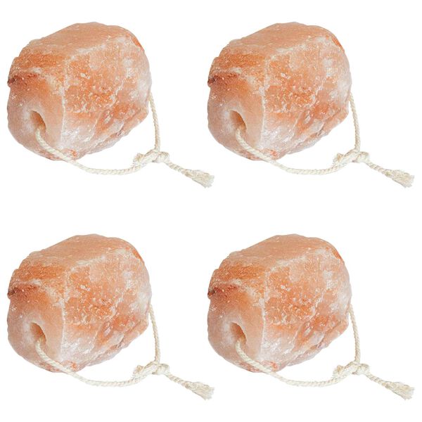 vidaXL Soolakivi Roosa Soole kivi