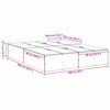 vidaXL Voodi hoiukohaga raam Sonoma tamm 160 x 200 cm Tehispuit