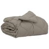 vidaXL Suvised teki 220 x 135 cm Suvi 200 gsm Helehall