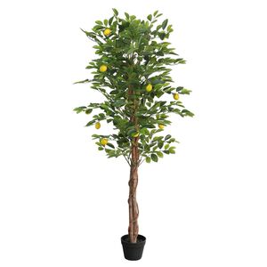 vidaXL sidrunipuu 3 t&uuml;vega, roheline, 180 cm, PP