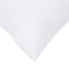Toote pisipilt  10 / 11