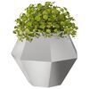 Toote pisipilt  3 / 11
