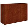 vidaXL taimekast, 120 x 40 x 80 cm, Corten-teras