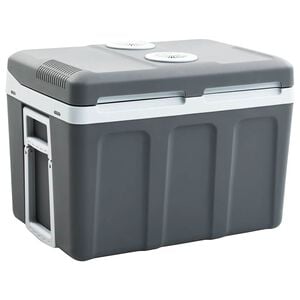 vidaXL kaasaskantav termoelektriline jahutuskast 40 l 12 V 230 V E