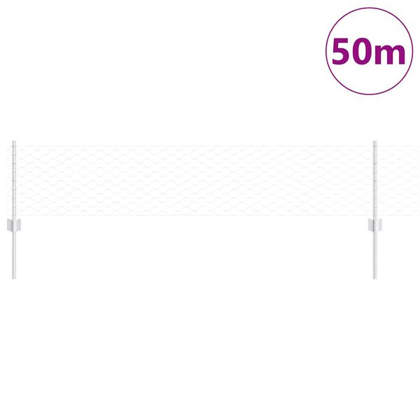 vidaXL Aed koos postiga H&otilde;bedane 0,4 x 50 m Teras