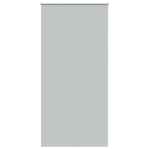 vidaXL Ruloo pimendav helehall 110x230 cm Kanga laius 105,7 cm