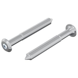 vidaXL Kinnitus 2 tk H&otilde;bedane M6 x 50 mm Teras