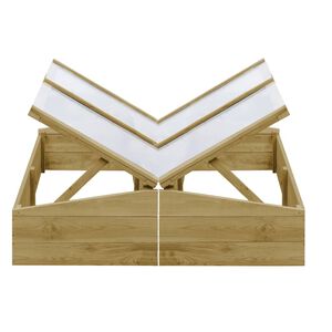 vidaXL kasvuhooned 2 tk, immutatud m&auml;nnipuit 100x50x35 cm