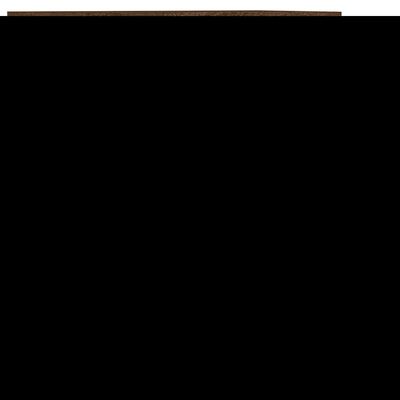 vidaXL puhvetkapp, pruun tamm, 60 x 35 x 70 cm, tehispuit