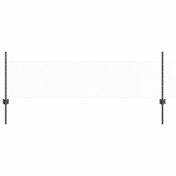 vidaXL Aed koos postiga Hall 0,5 x 10 m Terased ja PVC