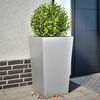 Toote pisipilt  2 / 13