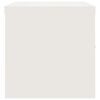 vidaXL dokumendikapp, valge, 90 x 40 x 40 cm, teras