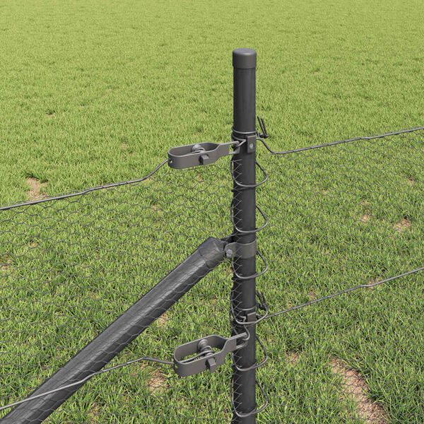 vidaXL Aiapost Hall 25 x 0,5 m (13 mm v&otilde;rk) Teras