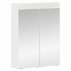 vidaXL Vannitoa peeglikapp TULUM Valge 60 x 16,5 x 78 cm Tehispuit
