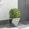 Toote pisipilt  4 / 13