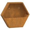 vidaXL seina taimekastid 2 tk, rooste, Corten teras, 46x10x40 cm