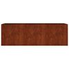 vidaXL taimekast, 120 x 40 x 40 cm, Corten-teras