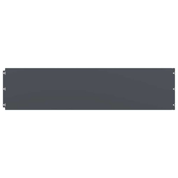 vidaXL muru&auml;&auml;red 10 tk antratsiit 25x103 cm k&uuml;lmvaltsitud teras