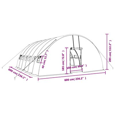 vidaXL kasvuhoone terasraamiga, valge, 36 m², 6x6x2,85 m