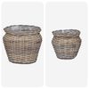 vidaXL Istutuskorv ladustamisega 2 pcs Hall Lacak Rattan