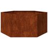 vidaXL taimekast, rooste, 90 x 90 x 45 cm, Corten teras