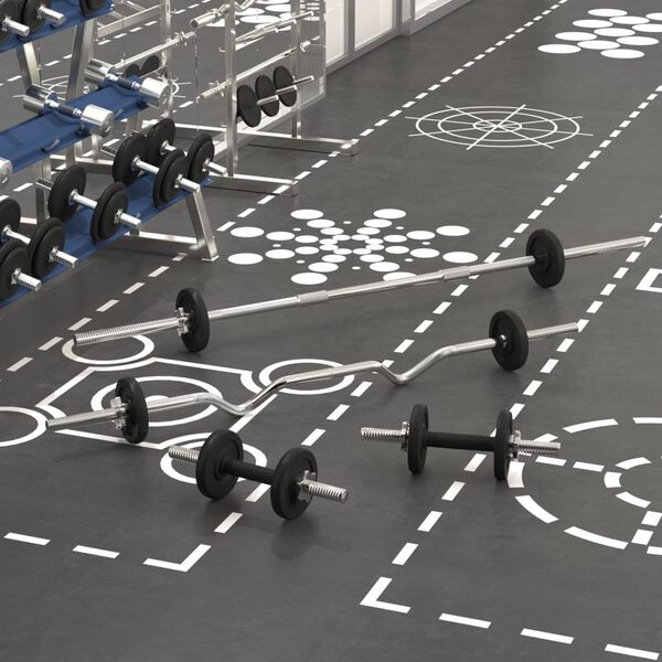 vidaXL kangi ja hantlite komplekt, 30 kg malm