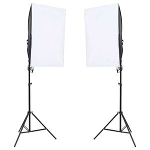 vidaXL professionaalne stuudiovalgusti 2 tk, 40 x 60 cm