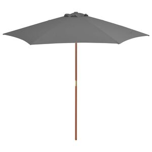 vidaXL p&auml;ikesevari puidust postiga 270 cm, antratsiithall