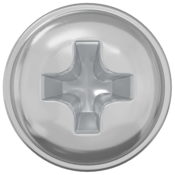 vidaXL Luku kruvid 2 pcs H&otilde;bedane M4 x 5 mm Raud