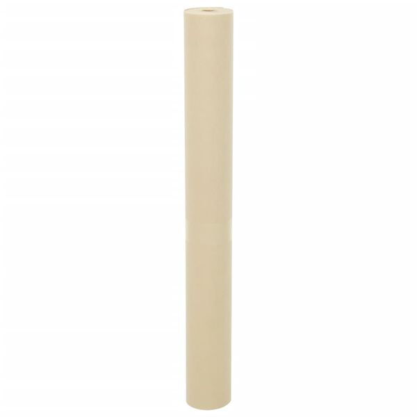 vidaXL taime fliiskate, 70 g/m&sup2;, 10x1,6 m