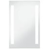 vidaXL vannitoa LED-seinapeegel 60 x 100 cm