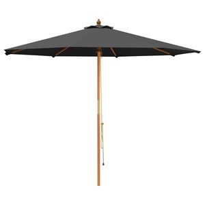 vidaXL Aedapara &Oslash; 300 x 248 cm Tugev Eukal&uuml;pti Puit Antratsiit
