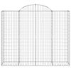 vidaXL kaarekujulised gabioonkorvid 20 tk, 200x50x160/180 cm, raud