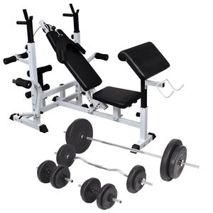 vidaXL t&otilde;stepink t&otilde;steraskuse hoidikute, kangide ja hantlitega 90 kg