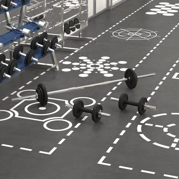 vidaXL kangi ja hantlite komplekt, 30 kg malm