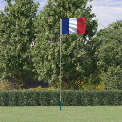 vidaXL Prantsusmaa lipp ja lipumast, 5,55 m, alumiinium