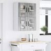 Toote pisipilt  4 / 13