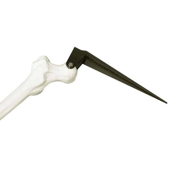 vidaXL Halloweeni Skeleton Valge 45,5 x 13 cm Plastmass