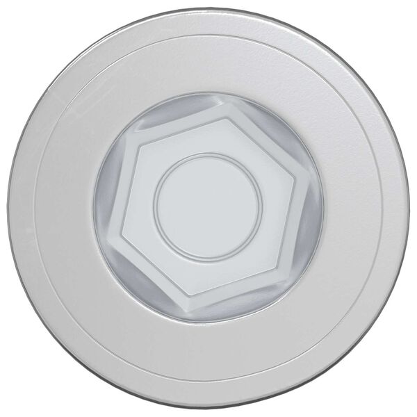 vidaXL Kinnituskruvid 12 pcs H&otilde;bedane &Oslash;7 x 58 mm Metall