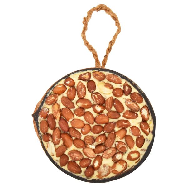 vidaXL linnutoiduga täidetud poolikud kookosed 10 tk, 290 g