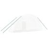 vidaXL kasvuhoone terasraamiga, valge, 12 m&sup2;, 6x2x2,85 m