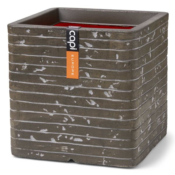 Capi vaas "Nature Row" kandiline, 40x40x40 cm oliiviroheline