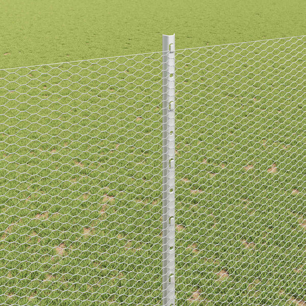 vidaXL Aed koos postiga H&otilde;bedane 1,5 x 10 m Teras