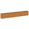 vidaXL aiapeenar 482 x 50 x 69 cm Corten terasest