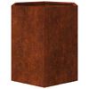 vidaXL taimekast, rooste, 40x40x45 cm, Corten teras