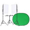 vidaXL fotostuudio komplekt valgustuse ja taustaekraaniga