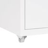 vidaXL mobiilne kontorikapp, valge, 28 x 41 x 169 cm, metall