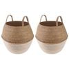 vidaXL K&auml;siga taimepott 2 tk Valge &Oslash; 32 x 32 cm 100% Mererohi