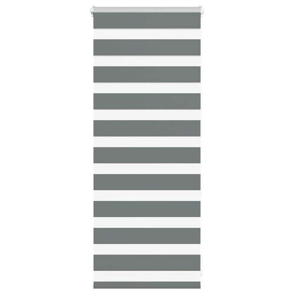 vidaXL Triibuline ruloo 60x100 cm kanga laius 55,9 cm pol&uuml;ester